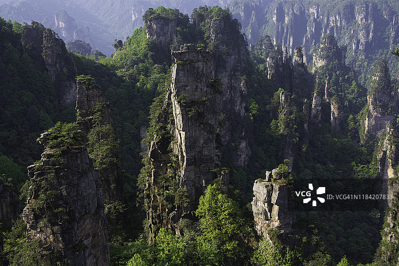 张家界石林风景，中国湖南图片素材