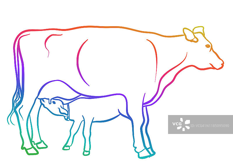彩虹小牛犊图片素材