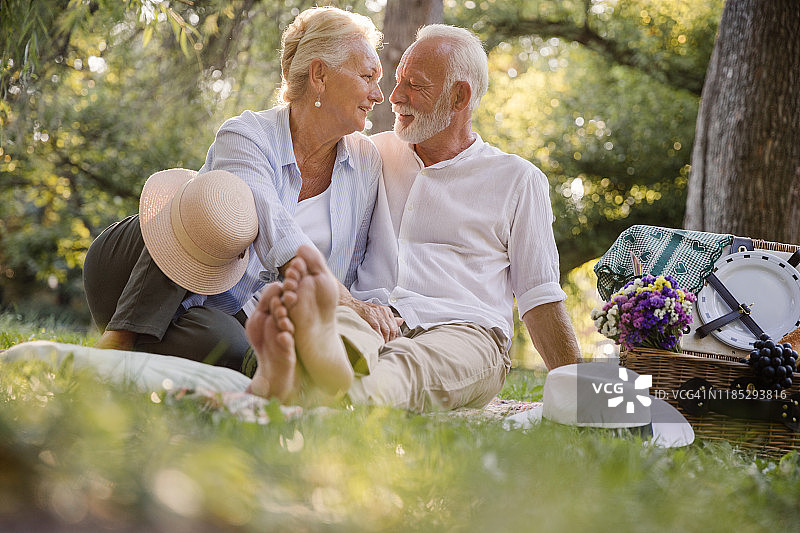 恋爱中的成熟夫妇在野餐上分享情感图片素材