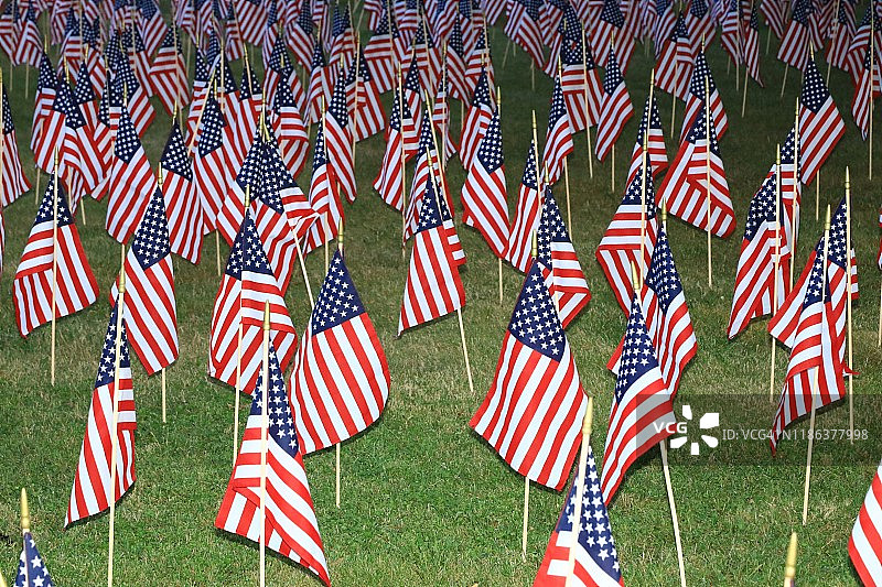 墓前挂满美国国旗图片素材