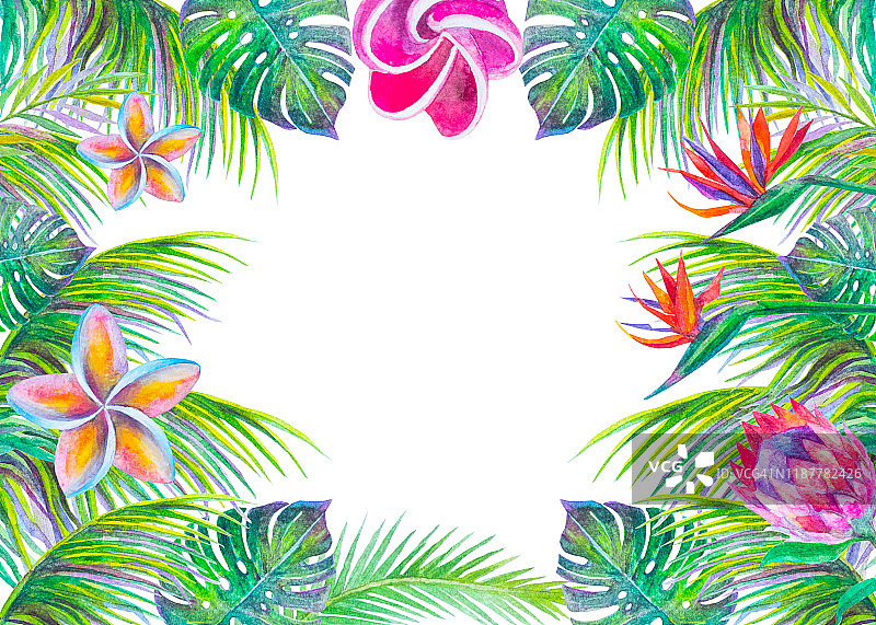 用热带树叶和花朵做成的水彩画框架图片素材