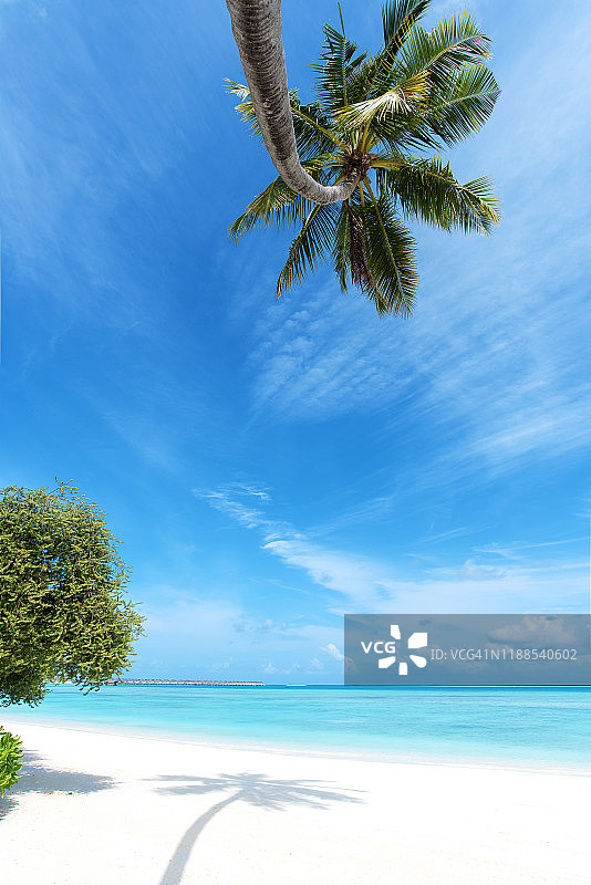 热带海滩，椰子树和绿松石海图片素材