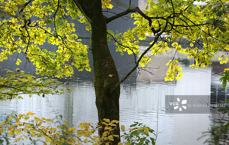 阿姆斯特丹伦勃朗公园的秋色图片素材