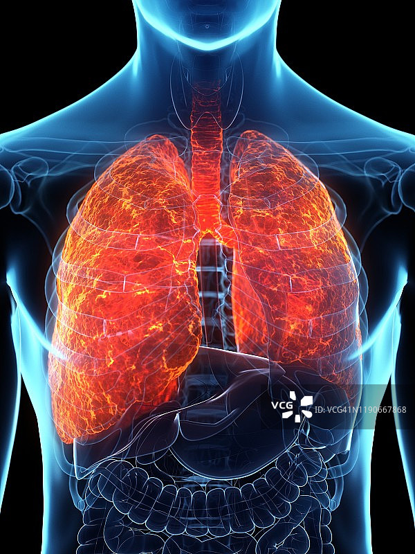 患病的肺，概念说明图片素材