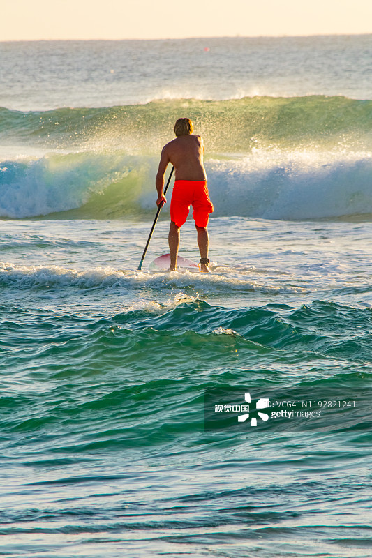 成熟的老人骑着他的起立桨板(SUP)通过破浪在清晨在黄金海岸主要海滩在昆士兰图片素材