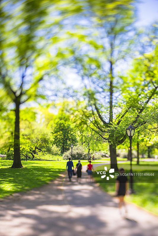 2019年5月8日，在美国纽约中央公园，人们走在绿树环绕的人行道上。图片素材