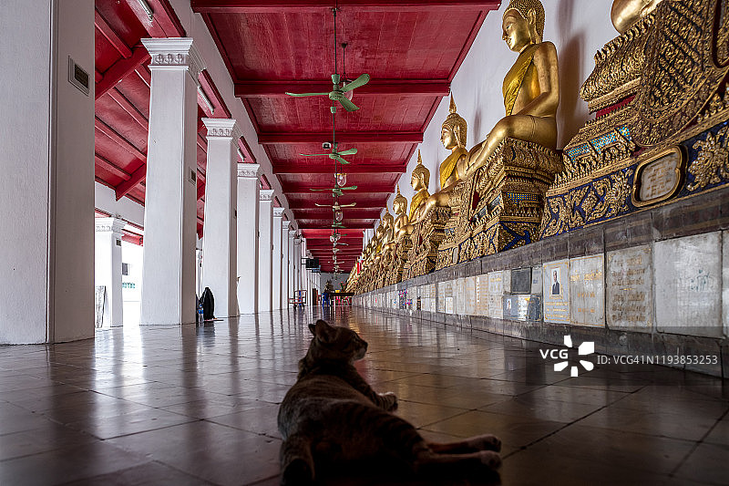 寺院里的佛像。这个回廊与泰国曼谷的四个viharas或viharns Wat Mahathat相交图片素材