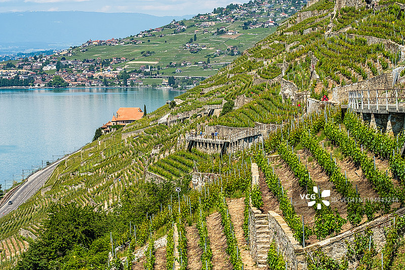 拉沃酒庄和日内瓦湖的方向，瑞士洛桑图片素材