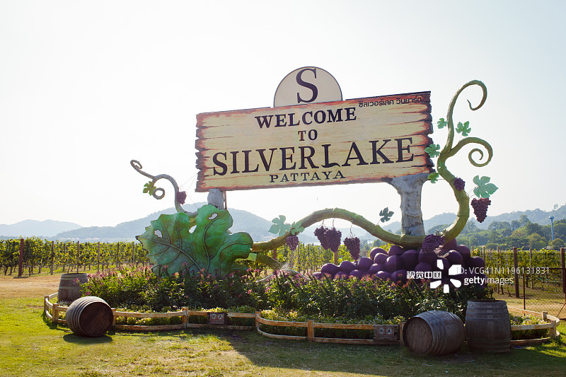 银湖是位于泰国芭堤雅乡村的葡萄园。图片素材