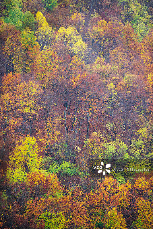 秋天鲜艳的色彩图片素材