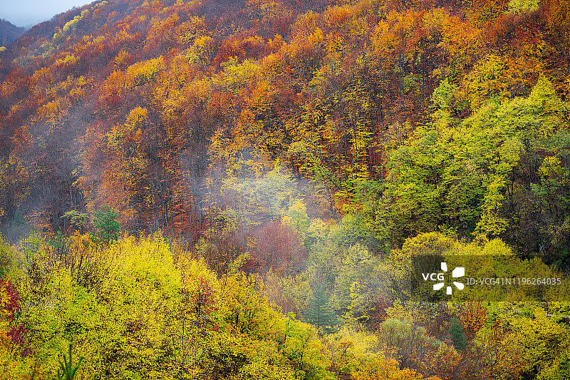梦幻般的秋天的风景图片素材
