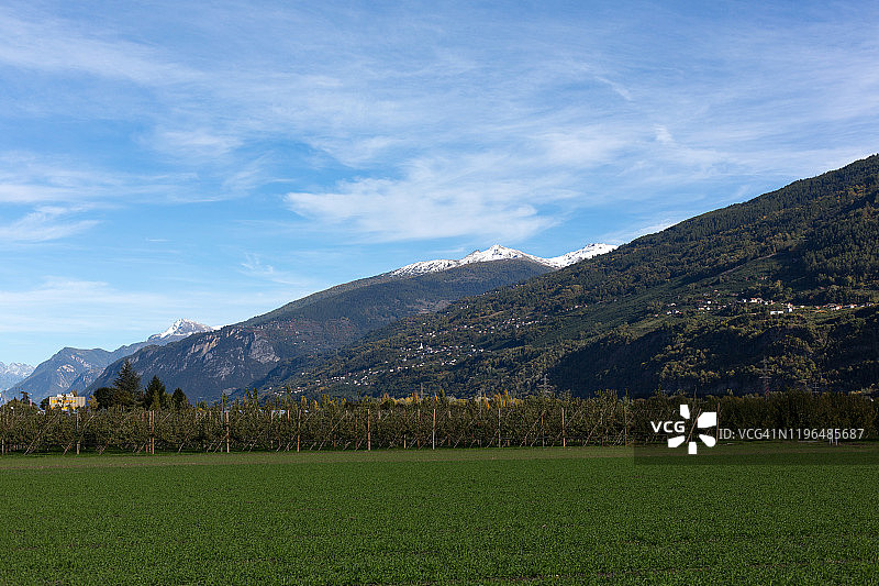 美丽的景色在瑞士的绿色山丘和雪山图片素材