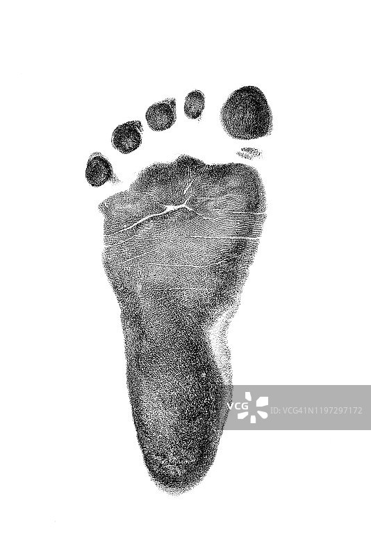 婴儿脚印孤立在白色背景。图片素材