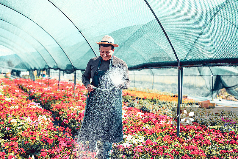 西班牙园丁给温室的花浇水图片素材