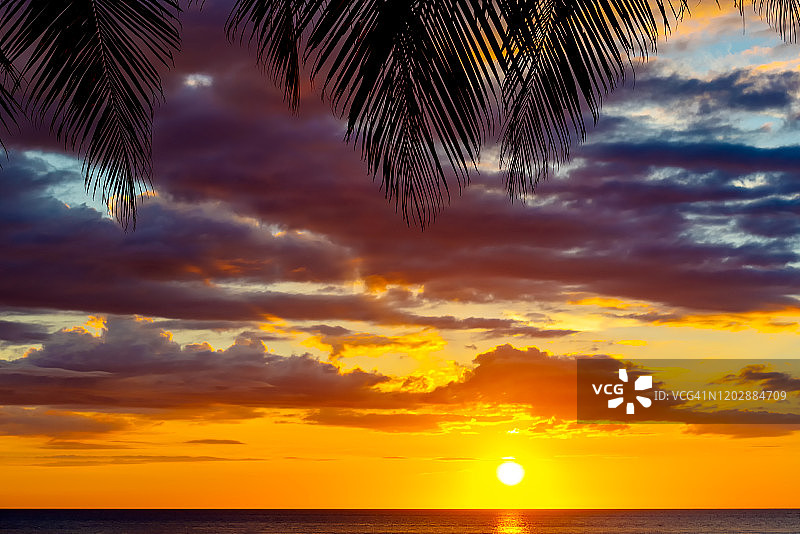 丹戎阿鲁海滩日落与棕榈树叶图片素材