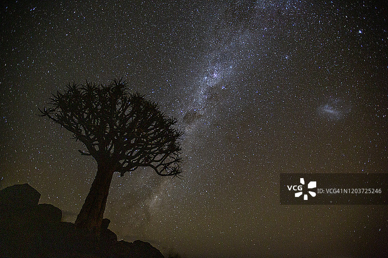 壮观的银河系景色与一个颤动的树在前景图片素材