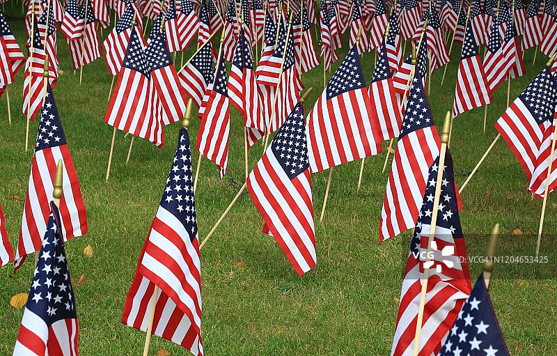 退伍军人用国旗为节日扫墓图片素材
