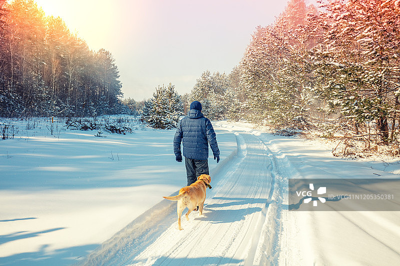 人和狗是最好的朋友。在一个阳光明媚的冬日里，一个男人和一只狗走在白雪覆盖的森林里的一条路上图片素材