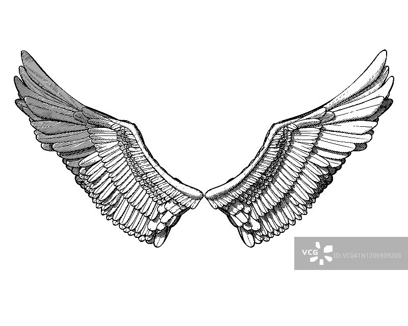 机翼雕刻绘图插图孤立在白色BG图片素材