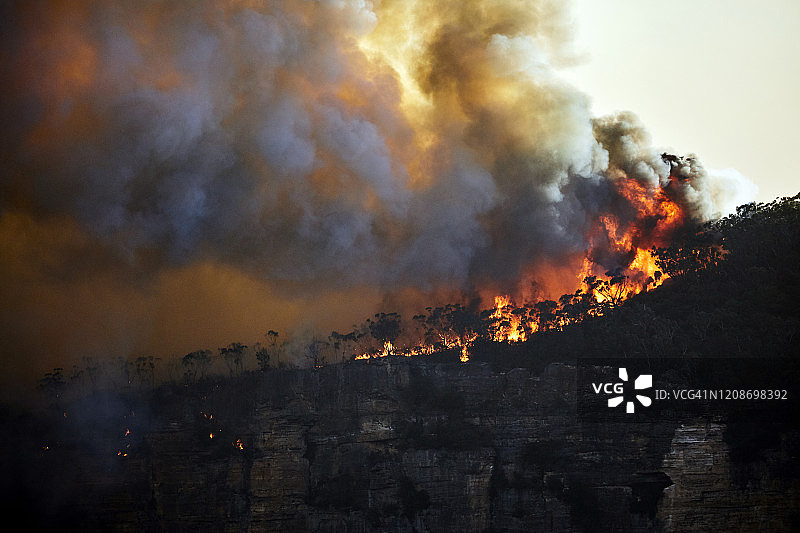 在澳大利亚蓝山的山脊上，森林大火，火焰和太阳照亮了烟雾的薄暮图片素材