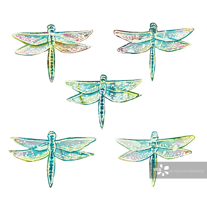 一只只蜻蜓，一只只昆虫，水彩画着夏天明亮的翅膀，在白色的背景上图片素材