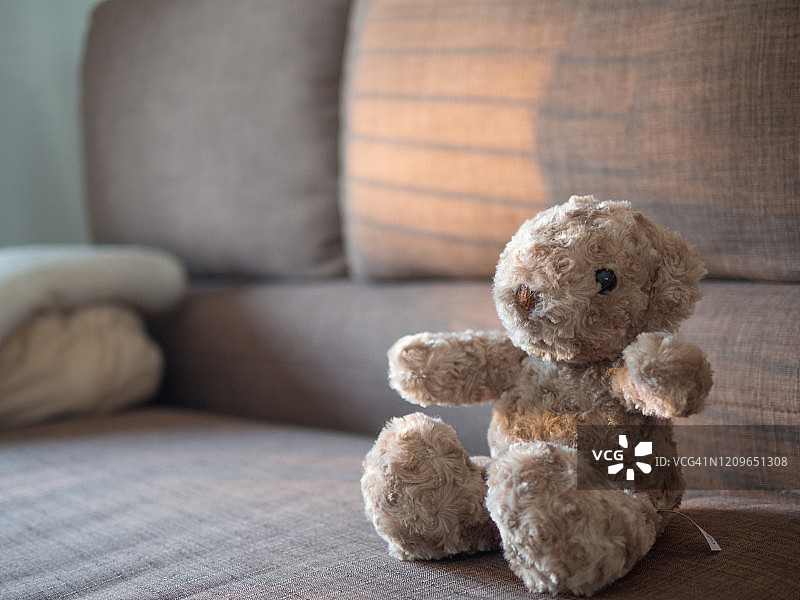 玩具泰迪熊坐在布质沙发上，光线透过。图片素材