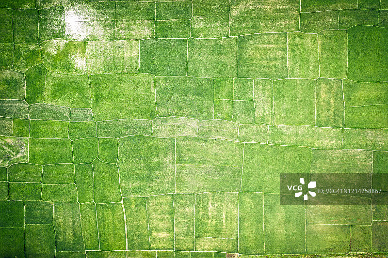 正上方是吉大港地区的农田图片素材