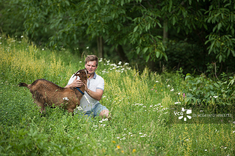 夏日牧场上的年轻农夫和他的山羊图片素材