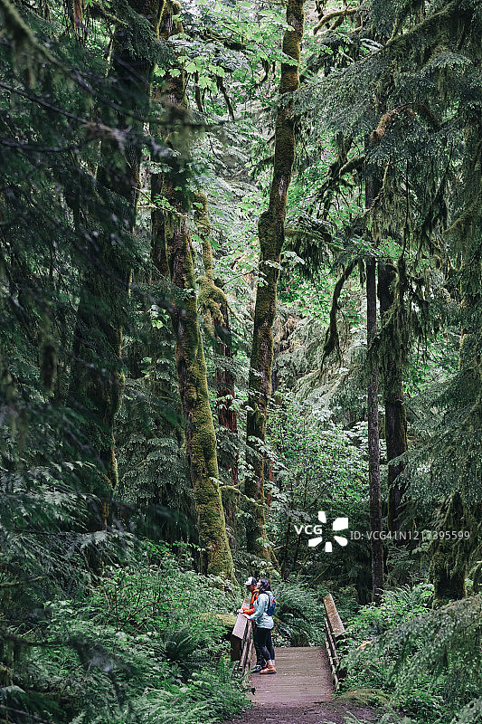 一对年轻夫妇喜欢在太平洋西北部的森林里徒步旅行。图片素材