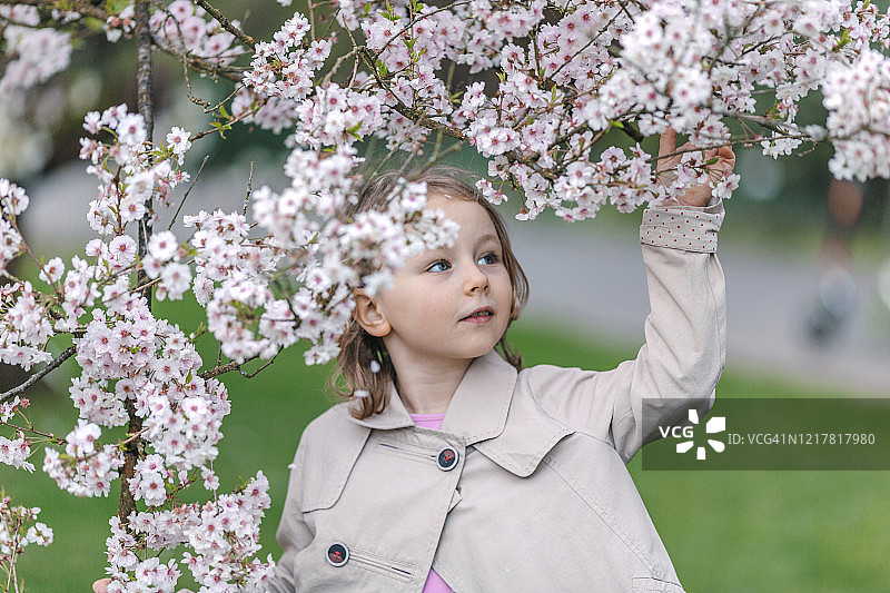 小女孩在公园里看樱花的肖像图片素材