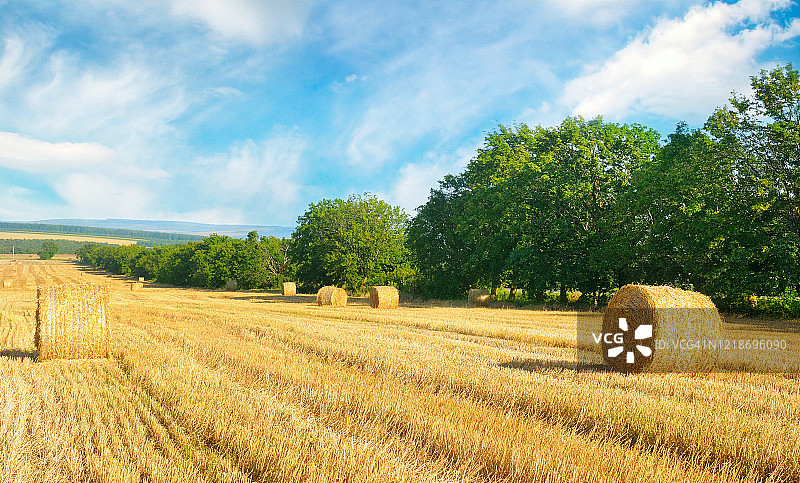 麦田里的稻草捆和蓝天。农业景观。图片素材