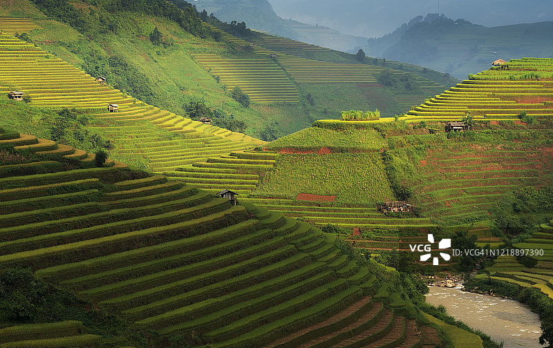 水稻梯田位于越南的木仓寨、颜白、山岭谷地。图片素材