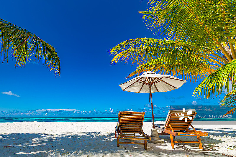 热带海滩自然作为夏季景观躺椅和棕榈树和平静的海为海滩旗帜。豪华的旅游景观，美丽的度假或度假目的地。海滩场景图片素材