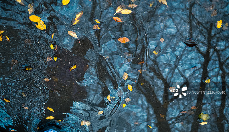 雨中潮湿的城市街道上，一个行人和树木的影子在水坑中模糊地映出。图片素材