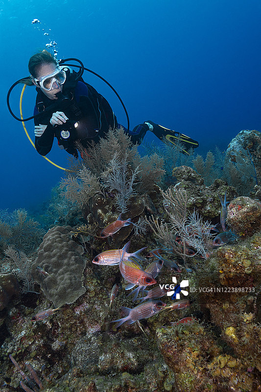 深水松鼠鱼(Sargocentron bullisi)和潜水员图片素材