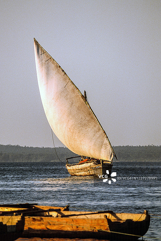 桑给巴尔，印度洋上的货运三角帆船图片素材