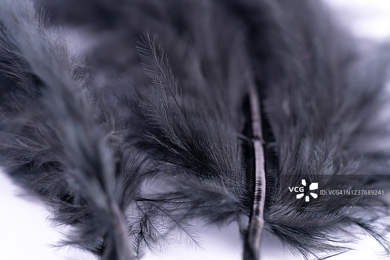 黑色羽毛抽象背景。宏图片素材