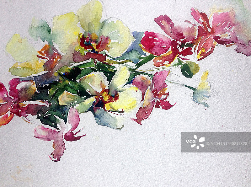 抽象鲜艳的装饰背景。手工花卉图案。美丽温柔浪漫的兰花花束图片素材