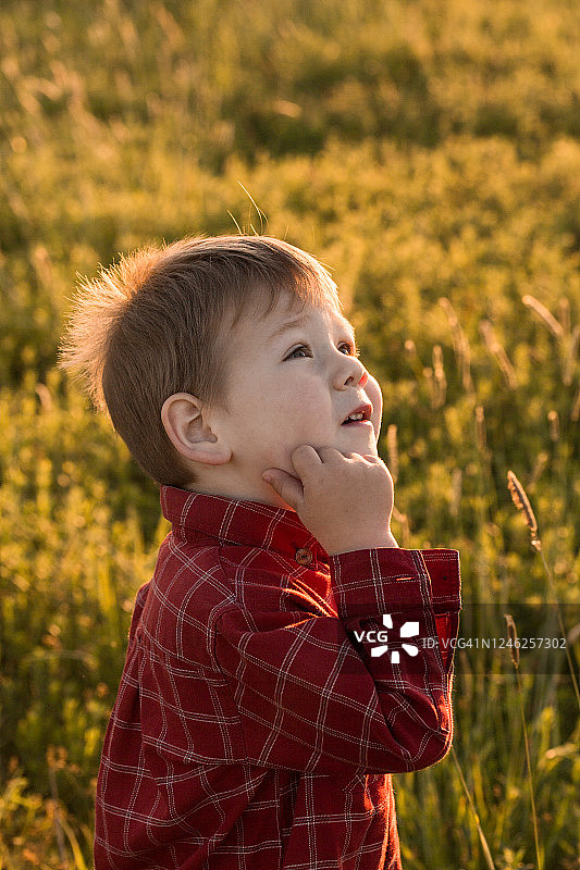 快乐的3岁小男孩的肖像在草地上的自然在夏天阳光灿烂的一天，自然在日落图片素材