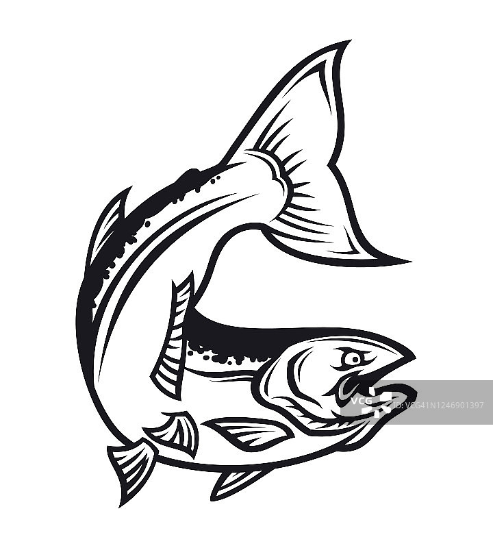鲑鱼鱼剪影-切出矢量图标图片素材