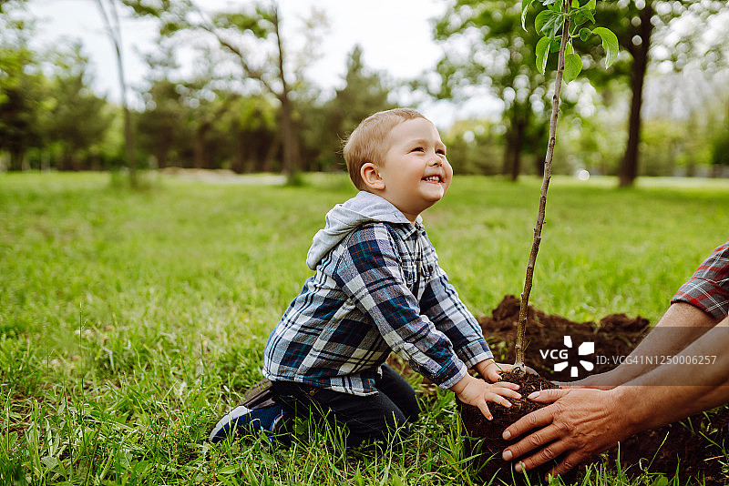 小男孩一边在花园里干活，一边帮爷爷种树。图片素材