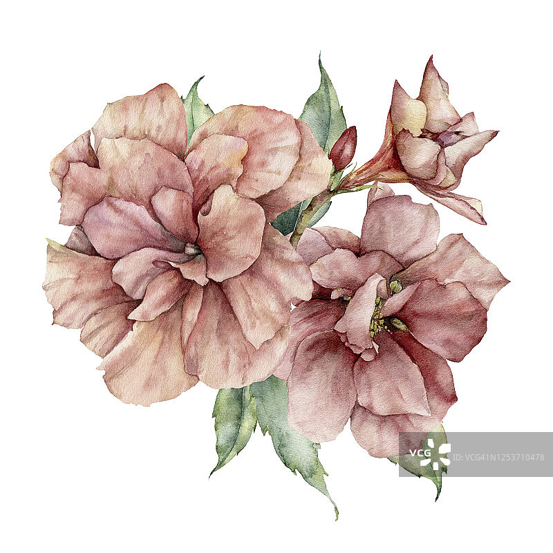 水彩夏日卡与木槿花束。手工绘制的粉红色热带花朵和叶子孤立在白色的背景。花插图设计，打印或背景。图片素材