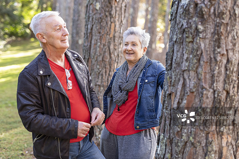 快乐的老夫妇享受松树林图片素材