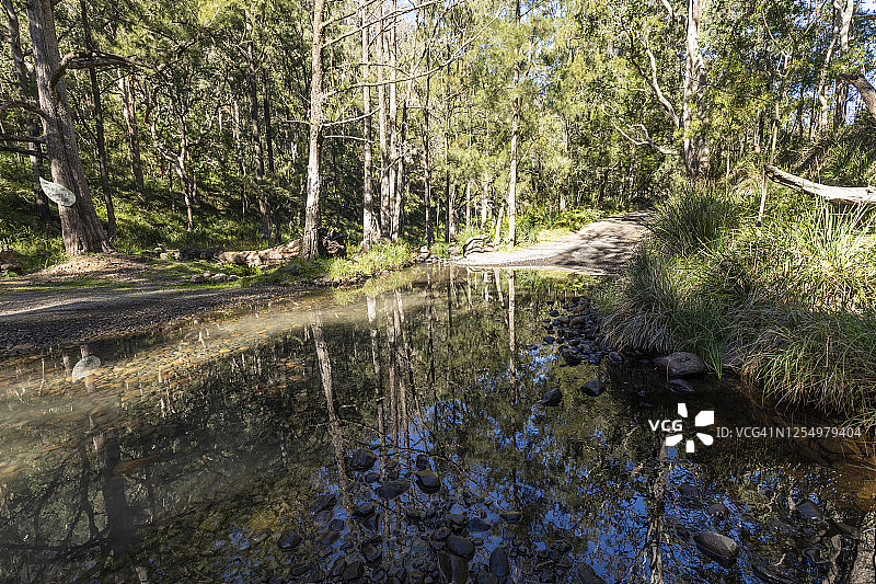 流淌着卵石的小溪，映照在水面上的树木和透过树木的阳光图片素材