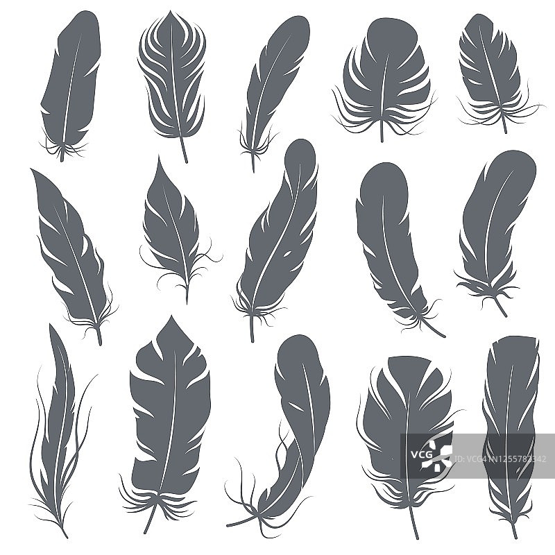 羽毛剪影。不同的羽毛鸟类，图形简单的形状钢笔装饰元素，黑色优雅的素描羽翼向量集图片素材
