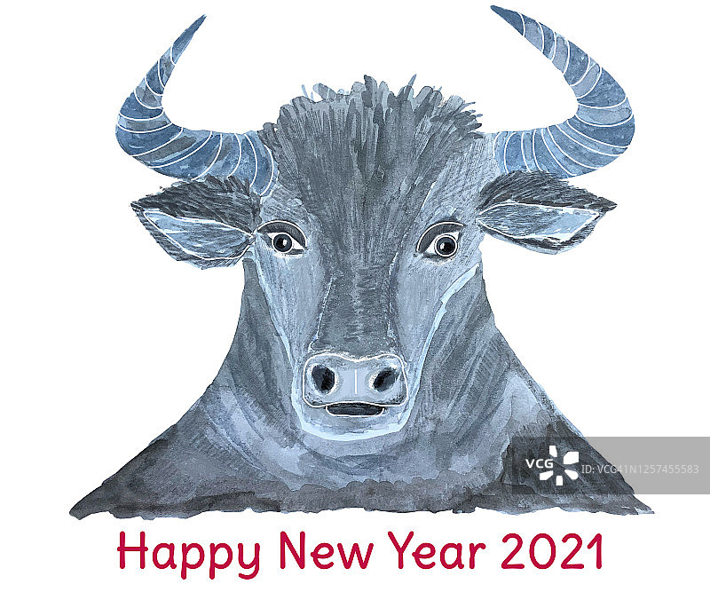 牛头水彩插画，象征2021年新年图片素材