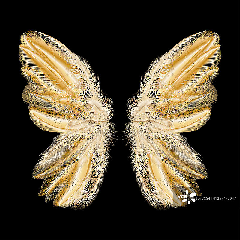 蝴蝶有羽毛的翅膀。现代抽象艺术金羽毛。图片素材