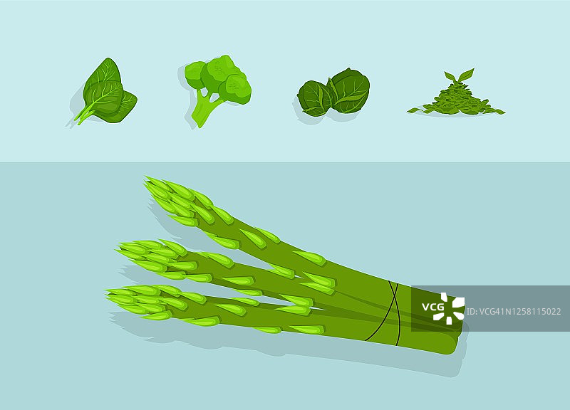 蔬菜绿色健康抗氧化剂。维生素蔬菜产品青菜、绿花椰菜、新鲜菠菜。图片素材