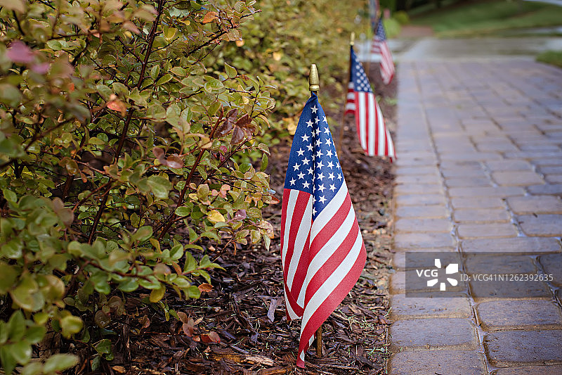 花园人行道上的美国国旗图片素材