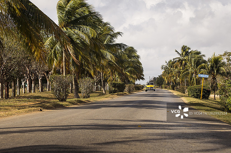 一辆老旧的美国车停在满是棕榈树的街道上。古巴猪湾美丽的道路图片素材